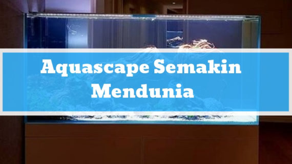 Aquascape Semakin Mendunia, Apakah Anda Sudah Tertarik?