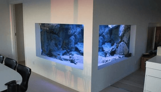 Beberapa Hal Yang Ditemui di Pasar Ikan Aquarium Air Laut Jakarta