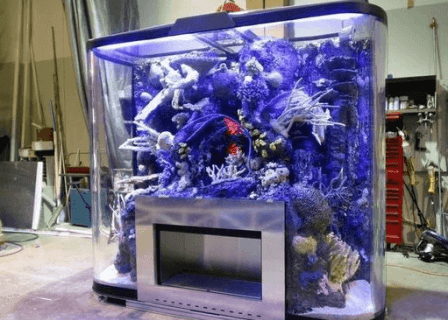 Aquarium Air Laut Tangerang