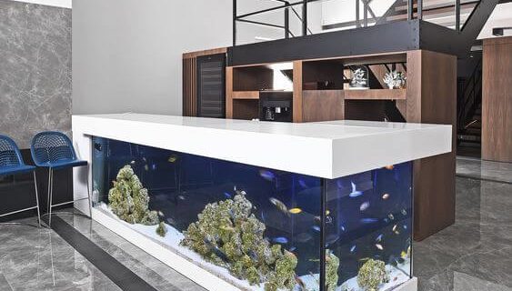 Macam – Macam Desain Aquarium Air Laut
