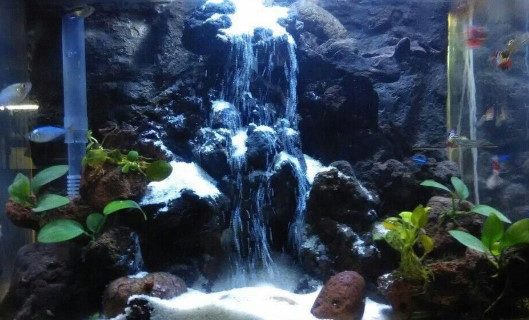 Ini Dia Cara Membuat Air Terjun Untuk Aquascape