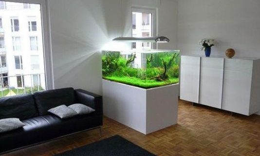 Tinggal di Tangerang? Simak Ulasan Jasa Interior Aquarium Tangerang Berikut Ini