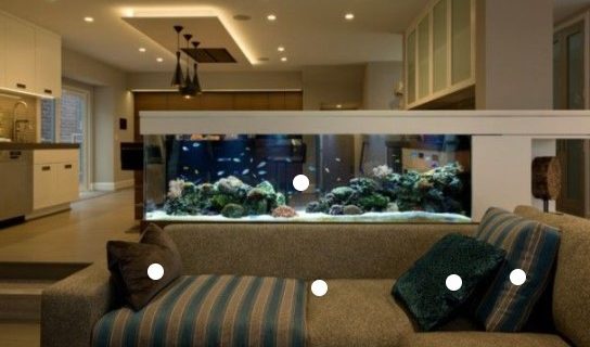 Jasa Aquarium Interior Jakarta