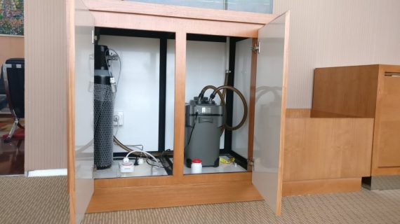 Pengertian dan Fungsi Filter Canister pada Aquacape