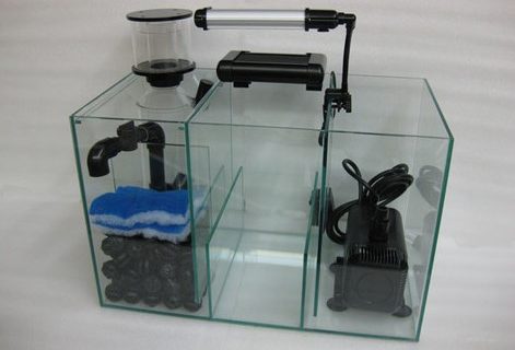 Penggunaan Filter Canister pada Aquarium Air Laut, Bisakah?