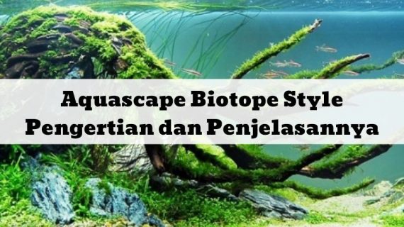 Aquascape Biotope Style: Pengertian dan Penjelasannya