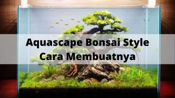 Aquascape Bonsai Style: Cara Membuatnya