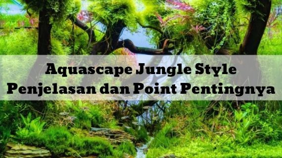 Aquascape Jungle Style : Penjelasan dan Point Pentingnya
