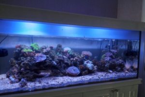 Coral Tank Di Residensial Casablanca