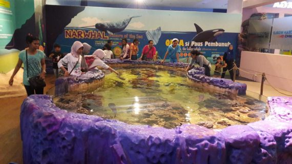 Wisata Air Laut Trans Studio Bandung By AKVODECOR