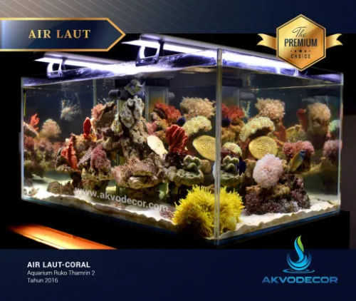 Aquarium-Ruko-Thamrin-2-min
