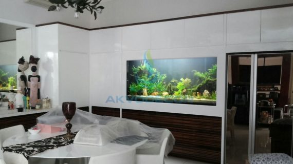 Tips Mengganti Air Aquascape: Kapan dan Seberapa Sering?
